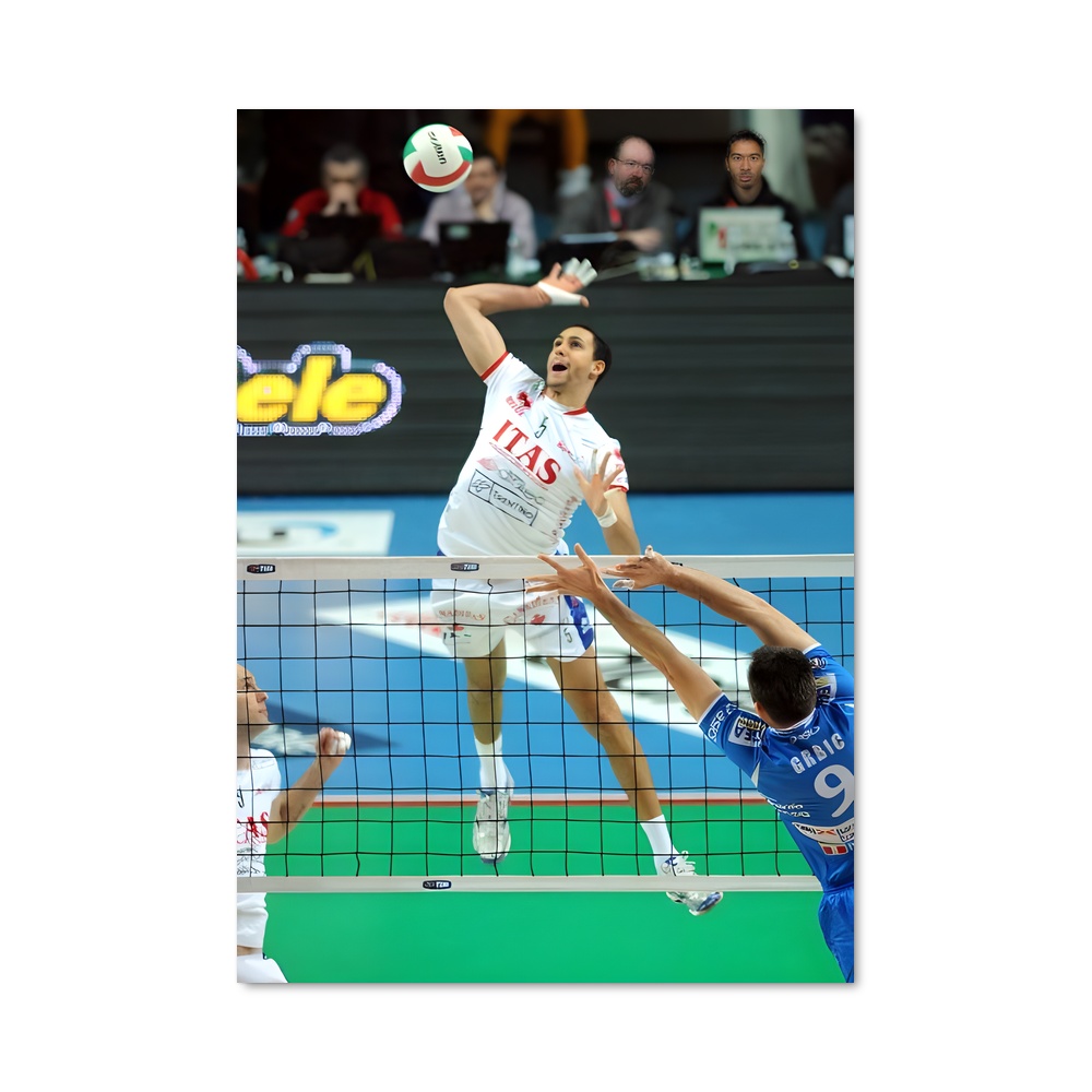 Poster L'Élan du Volley